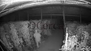 Agricultores de El Ejido denuncian asaltos a sus invernaderos para robarles el g&eacute;nero