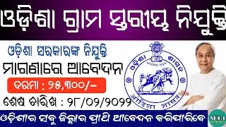 Odisha Village Level Jobs Vacancy 2022 ! Odisha Govt Jobs 2022 ! Odisha Job ! Odisha Job Updates