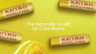 Burt&rsquo;s Bees Lip Balm &ndash; A Difference You Can Feel