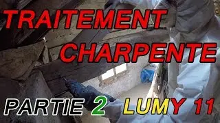 TRAITER une charpente en chêne attaquée par les termites / capricornes 2 LUMY 11