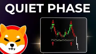 Shiba Inu Faces a Period of Patience Among Long-term Holders - Shiba Inu Coin News Prediction