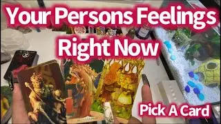 Your Persons Feelings Right Now🧿Pick A Card🔮🥰🔥🤩🤭😬🙏🏽🌬📥