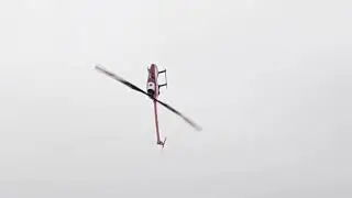 New Year's 2026 flight