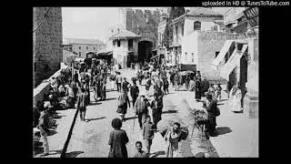 Palestinian Dehumanization