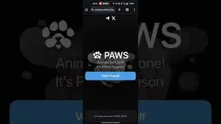 Paws 🐾 connect wallet #toon #wallet #paws #solana