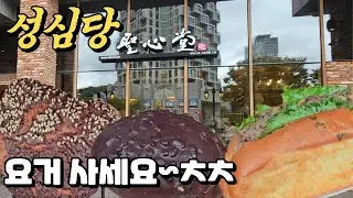 성심당dcc점 신상빵 포함 맛있는빵 추천! #성심당