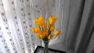 DSCF1393