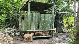 L&yacute; Thị Ca: HOW TO BUILD OUTDOOR BATHROOM BAMBOO HOUSE 2021 - Ep.59