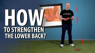 5 Exercises to Relieve Lower Back Pain