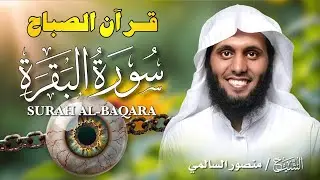 قرآن الصباح | سورة البقرة كاملة لتحصين المنزل وجلب البركة | بصوت منصور السالمي  - جودة عالية