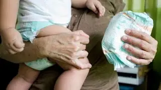 Disposable Diapers For Robins | Today's Creation Moment
