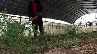 Land prep @JohnDoeTV1
