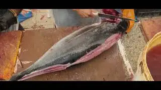 Speedy Fish Cutting Master|| Dangerous Fastest Fish Cutting|| $200 Tuna Fish Cutting Master Skills