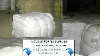 Bulk Wool Exporter Uruguay