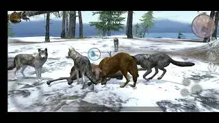 Ultimate Wolf Simulator 2 High Level Gameplay