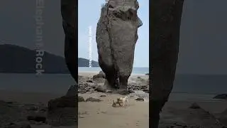 #ElephantRock#코끼리바위