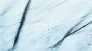 Mavic 2 Zoom Sideway P-mode flight Crash