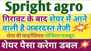 Spright agro share latest news today । Spright Agro Share news । Spright agro stock news today