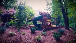 Backyard wooded area face lift