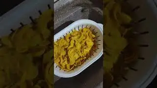 Como Pr&eacute; conziar o pequi para congelar, e pequi curtido no ol&eacute;o
