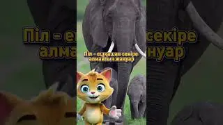 #қазақшаконтент #funny #cartoon #қызықтыдеректер #animation