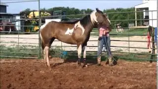 Saddle Prep