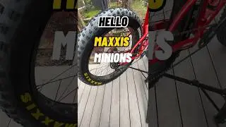 Fat bike Maxxis Minion FBF/FBR #shorts #fatbike #mtblife
