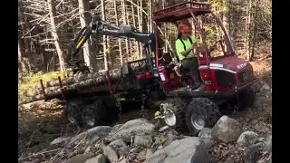 Alstor 822 in Fir Thinning on Rock Wall