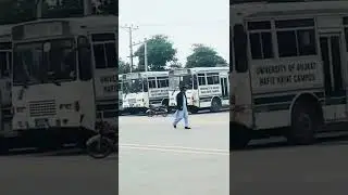 UOG Buses | University of Gujrat | UOG University