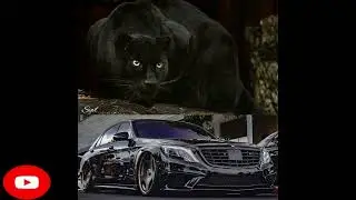ДИМАН БРЮХАНОВ  Фортуна