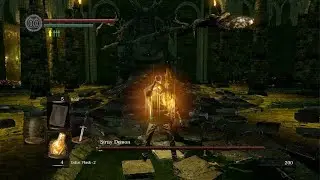DARK SOULS Challenge Run Stray Demon