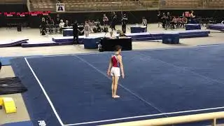 01 19 2019 SueWhittlow Floor Score11 2