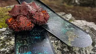 Winter Harvesting Puget Sound KING CRAB Catch and Cook on the Beach / Vancouver Island!