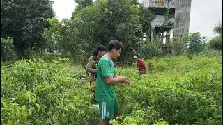 ទឹកឡើងលិចចំការម្ទេសអ្នកទន្លេជិតអស់ហើយ