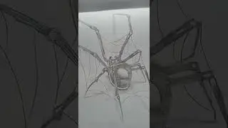 hyper spider 🕷sketch #art #drawing