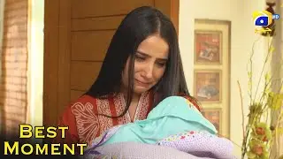 Grift Episode 29 || Ali Abbas - Saniya Shamshad || 𝐁𝐞𝐬𝐭 𝐌𝐨𝐦𝐞𝐧𝐭 𝟎𝟑 || Har Pal Geo
