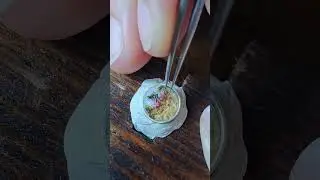 Micromosaic ring - 11 mm mosaic  #micromosaic #micromosaico #mosaic #ring #flowers