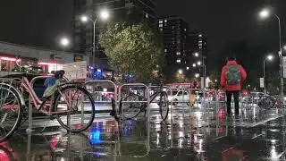 Rainy Nights - Irene Thompson