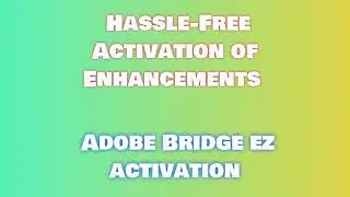 Step-by-Step Guide to Download and Install Adobe Bridge