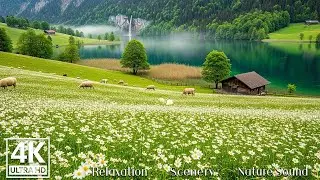 Scenic Europe 4K 🌿 | Peaceful Landscapes & Calm Relaxing Music