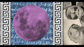 קיסרים קטנים - רדיו שכחה | Little Emperors - Radio Amnesia