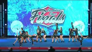 Cheer Sport Toronto Cryptic Sharks  2024 Canadian Finals