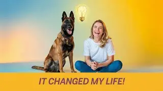 I Own A Malinois And It CHANGED My Life!