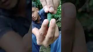 🪵 How to Make a Coconut‑Leaf Horn|DIY Eco Craft 🎶
