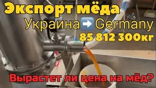 🍯Экспорт мёда Украина➡️Germany.   👉Вырастет ли цена на мёд?👍
