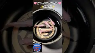✨🩷ピンクサファイア🩷光体型🩷✨ #メダカ #めだか #メダカ飼育 #メダ活 #改良メダカ #shots