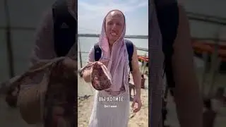 Очищение от грехов - секта? 🤦🏼&zwj;♂️ Is Krsna consciousness a cult 🤔