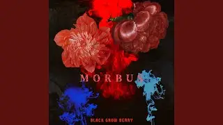 MORBUS