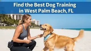 Find the Best Dog Training in West Palm Beach Florida