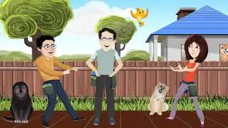 Daily Utility Video